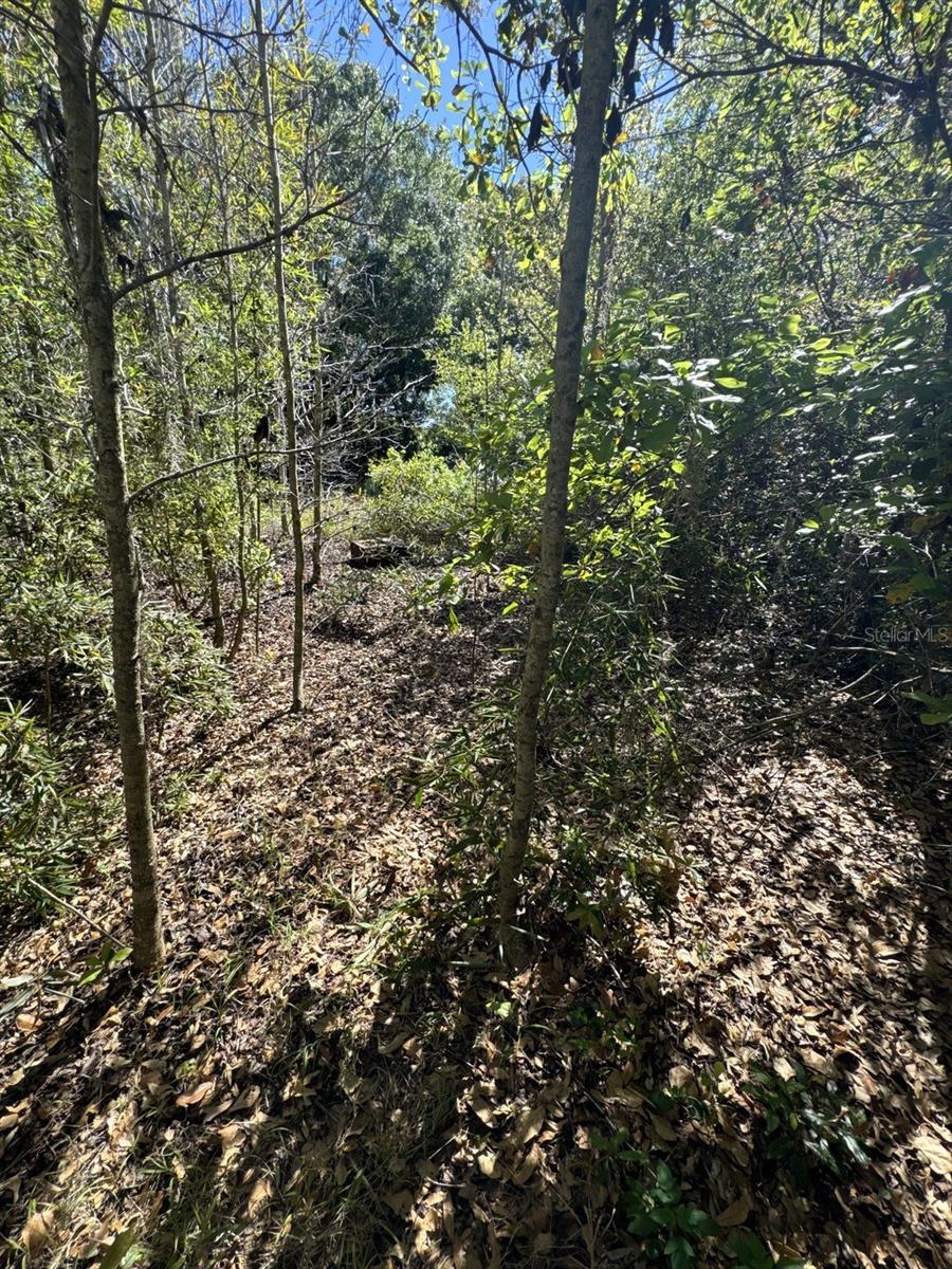 8906 TURKEY CREEK RD, PLANT CITY, FL, 33567