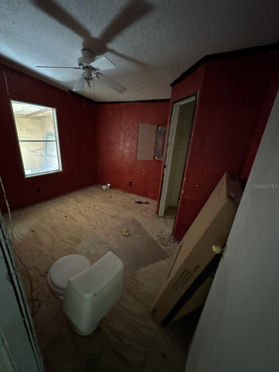 8906 TURKEY CREEK RD, PLANT CITY, FL, 33567