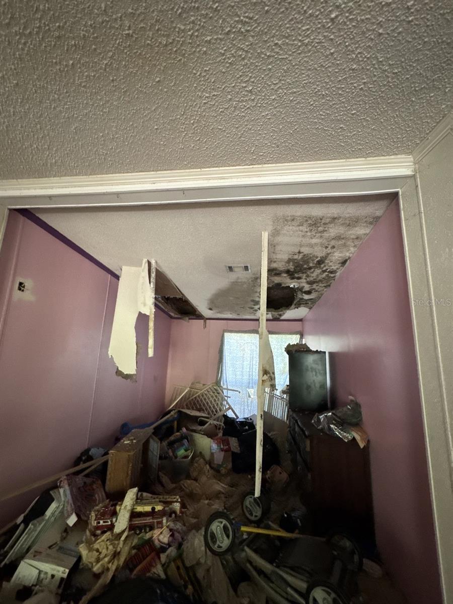 8906 TURKEY CREEK RD, PLANT CITY, FL, 33567