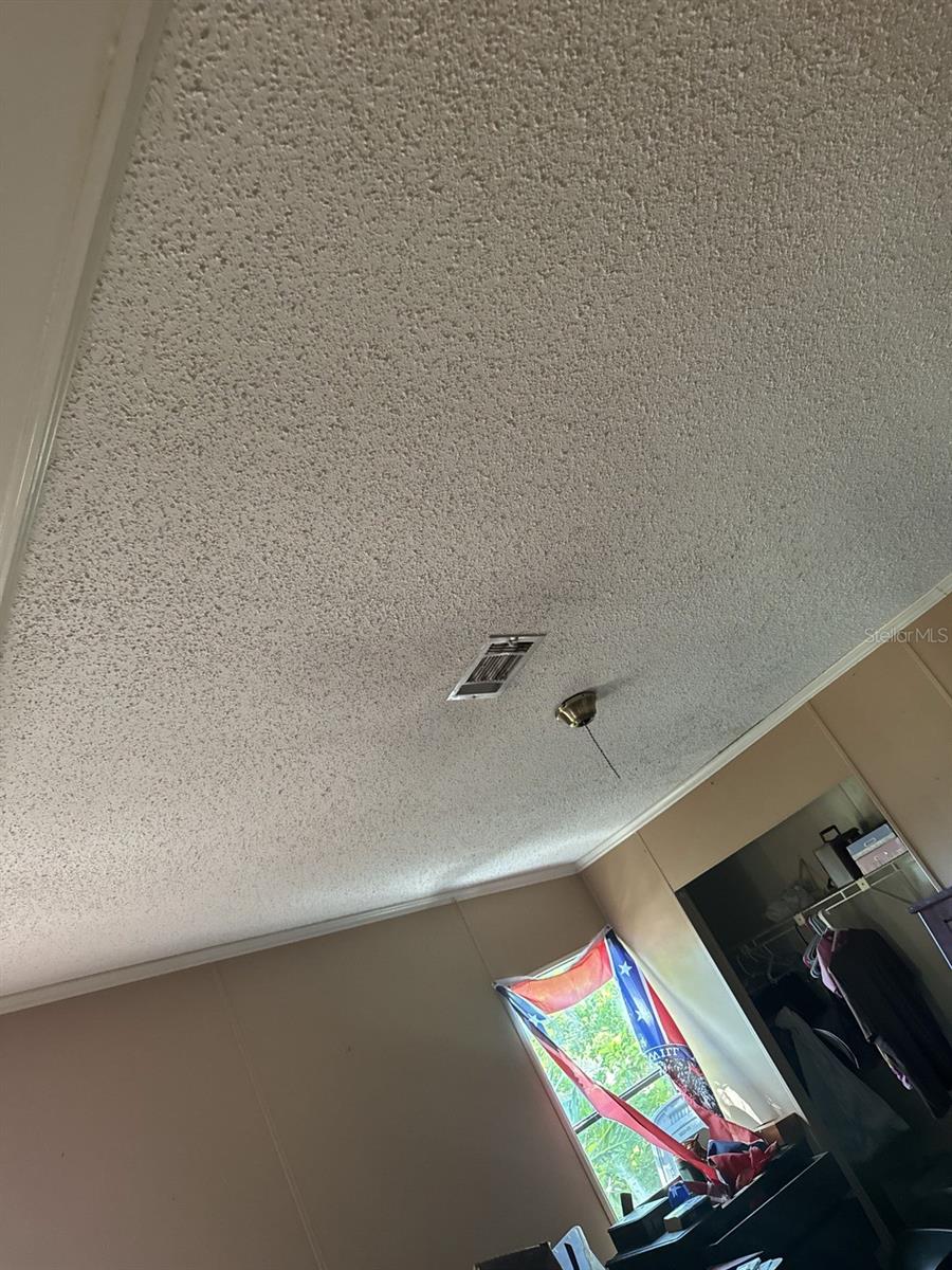 8906 TURKEY CREEK RD, PLANT CITY, FL, 33567