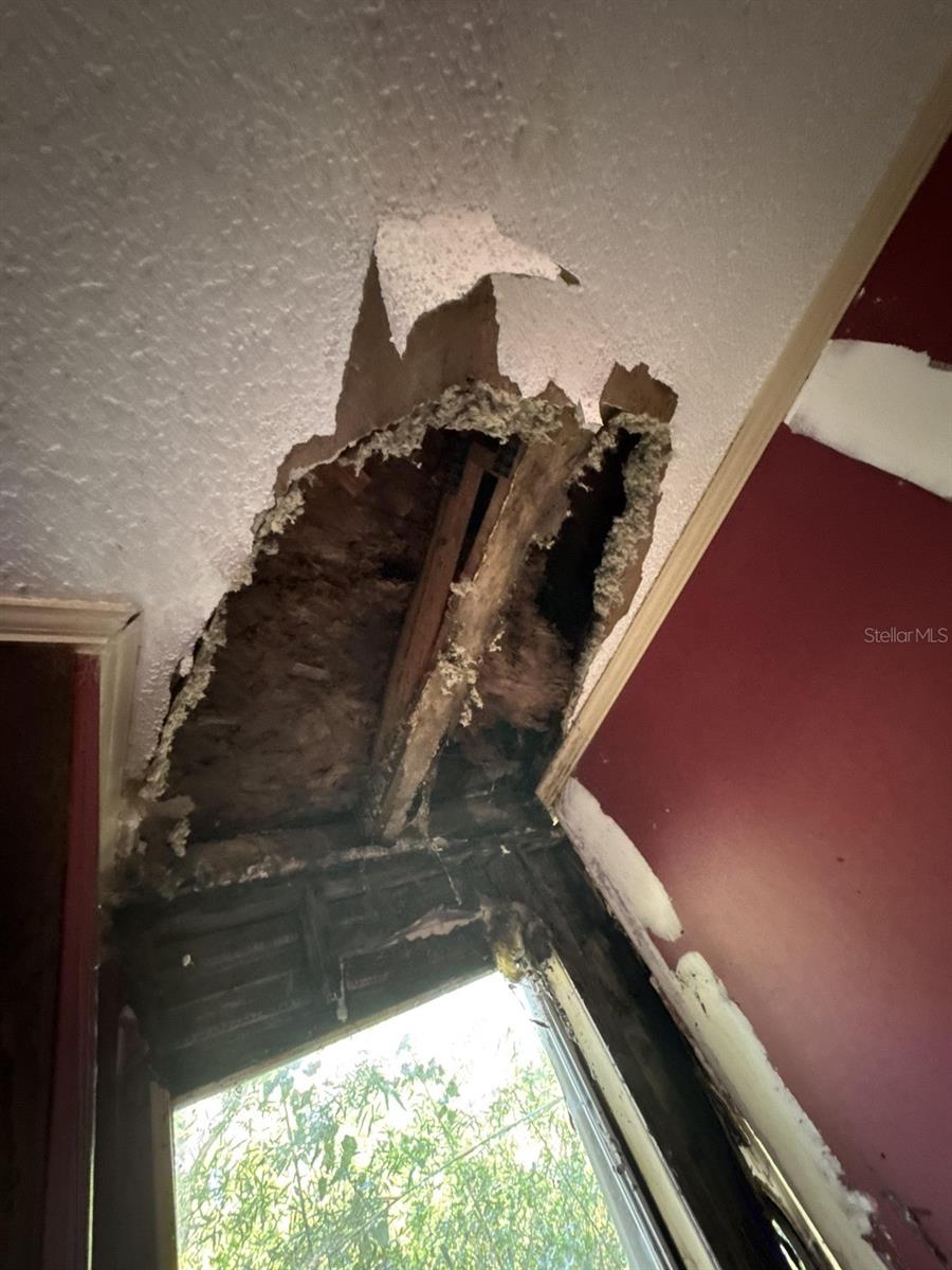 8906 TURKEY CREEK RD, PLANT CITY, FL, 33567