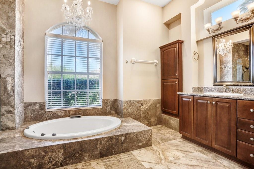 19106 AVENUE BAYONNES, LUTZ, FL, 33558