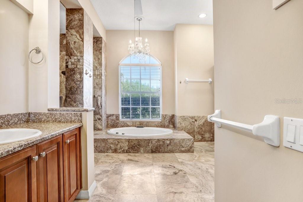 19106 AVENUE BAYONNES, LUTZ, FL, 33558