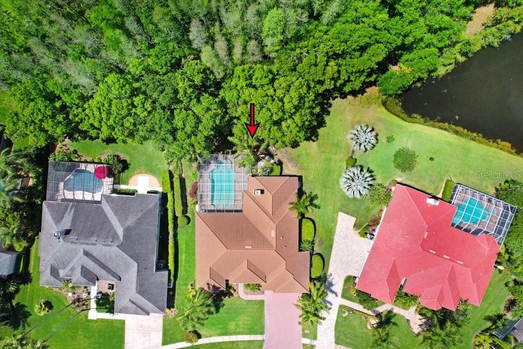 19106 AVENUE BAYONNES, LUTZ, FL, 33558