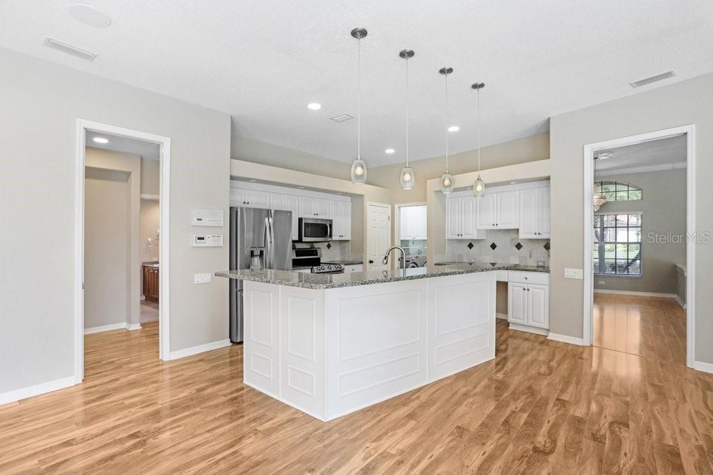 19106 AVENUE BAYONNES, LUTZ, FL, 33558