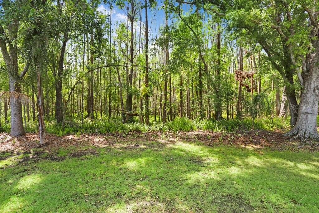 19106 AVENUE BAYONNES, LUTZ, FL, 33558