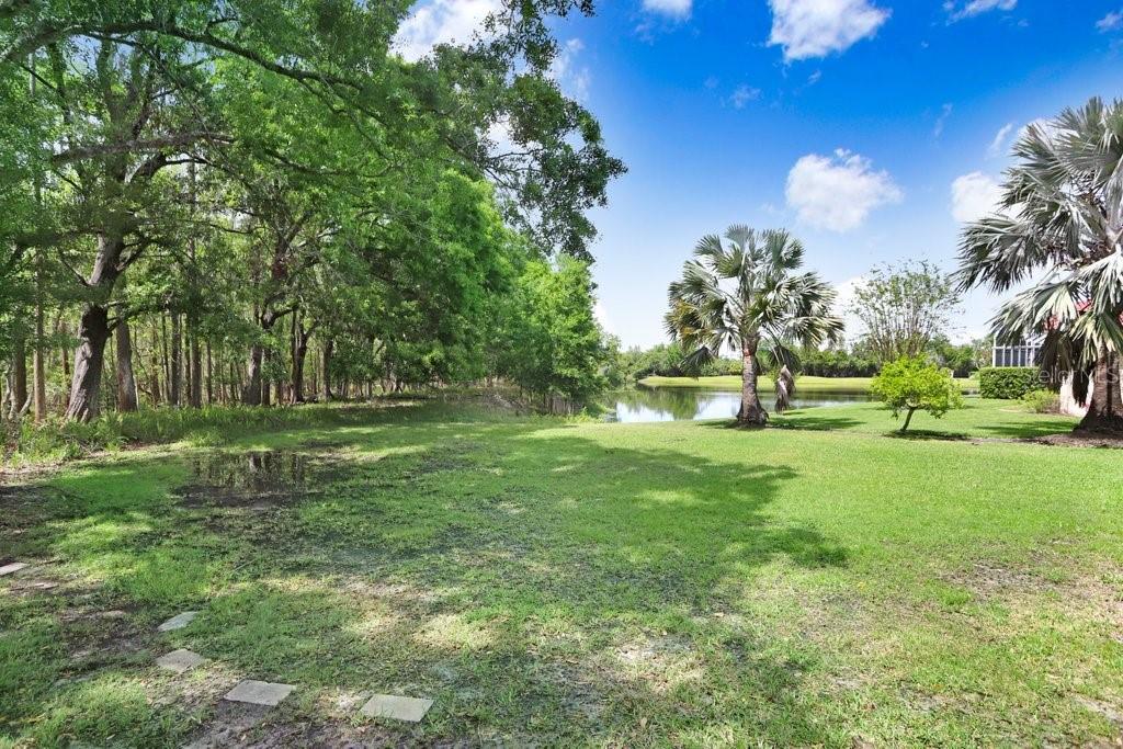 19106 AVENUE BAYONNES, LUTZ, FL, 33558