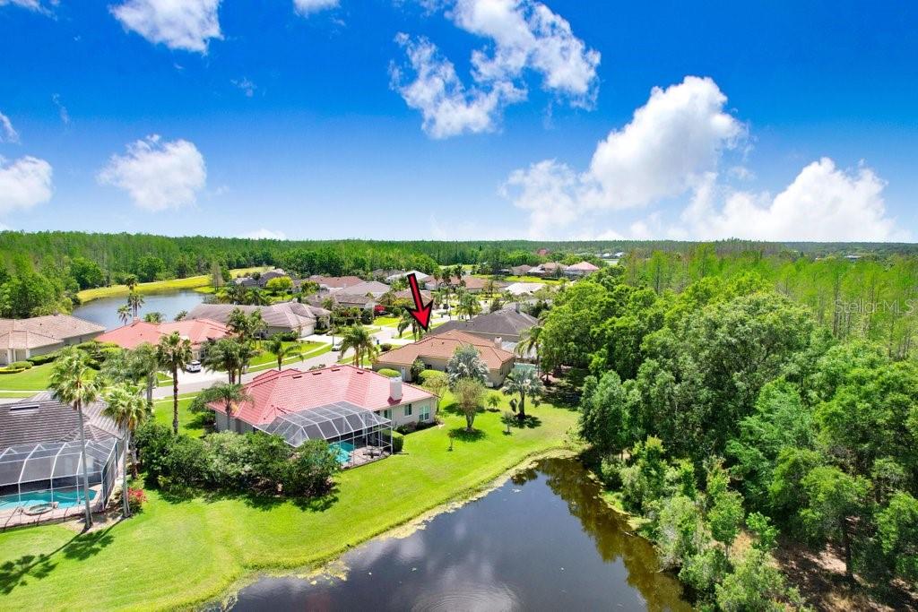 19106 AVENUE BAYONNES, LUTZ, FL, 33558