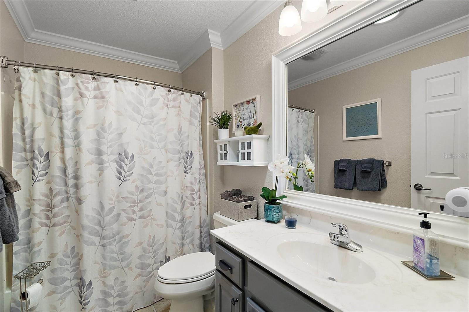 685 WINIFRED WAY, THE VILLAGES, FL, 32162