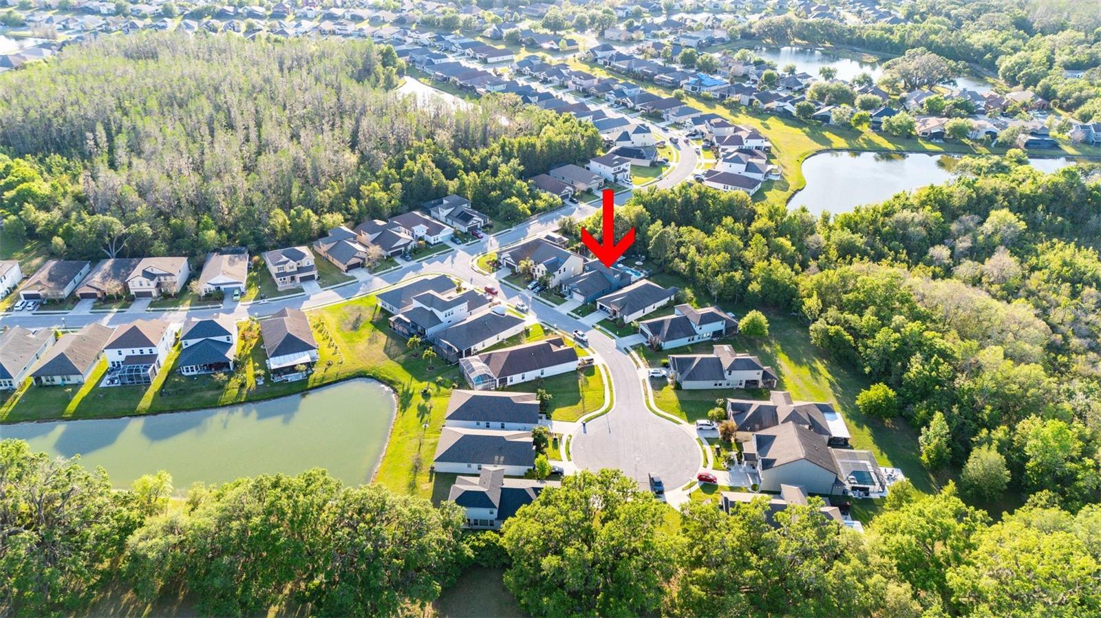 30647 WALKER CUP PL, WESLEY CHAPEL, FL, 33543