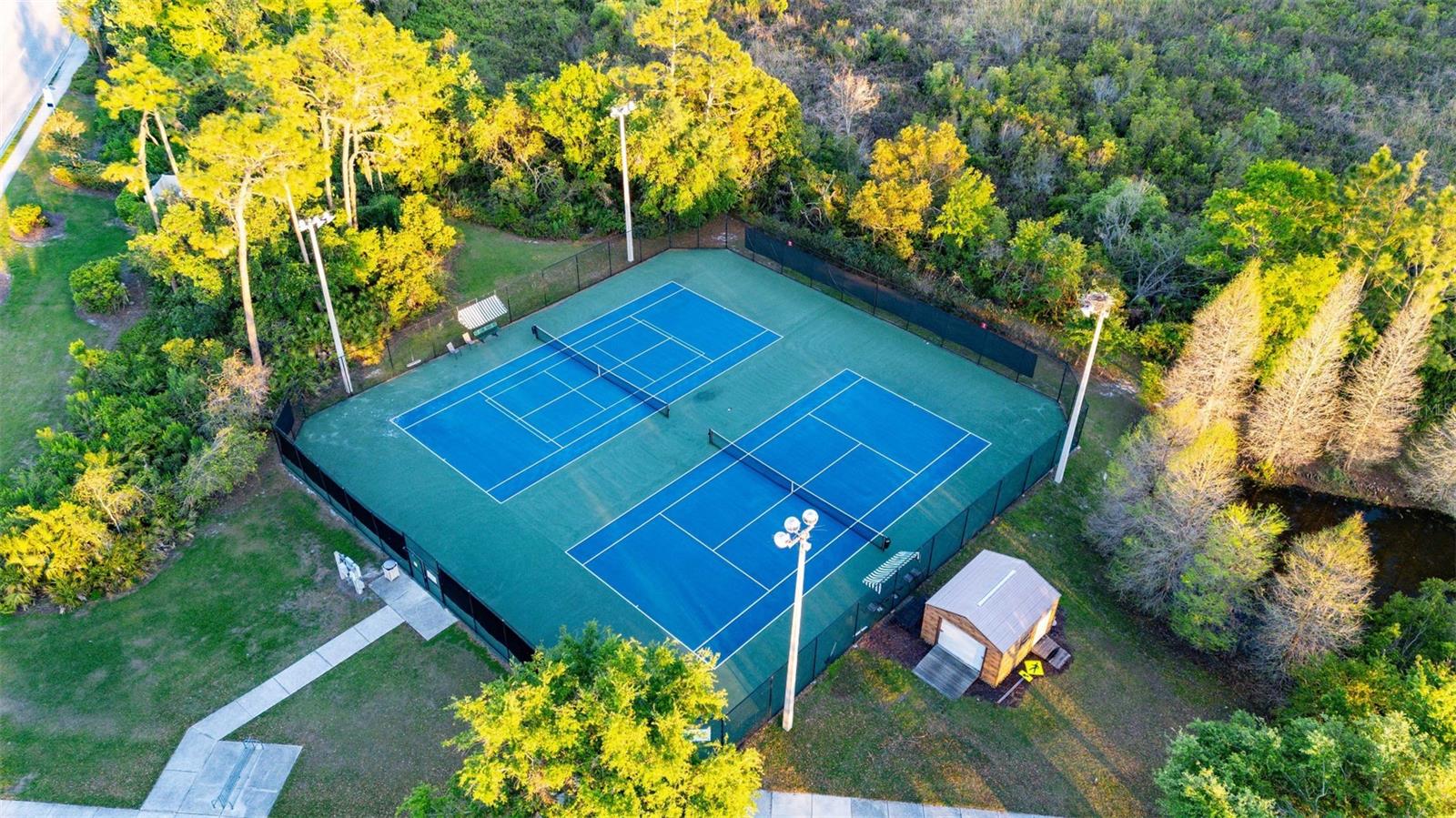 30647 WALKER CUP PL, WESLEY CHAPEL, FL, 33543