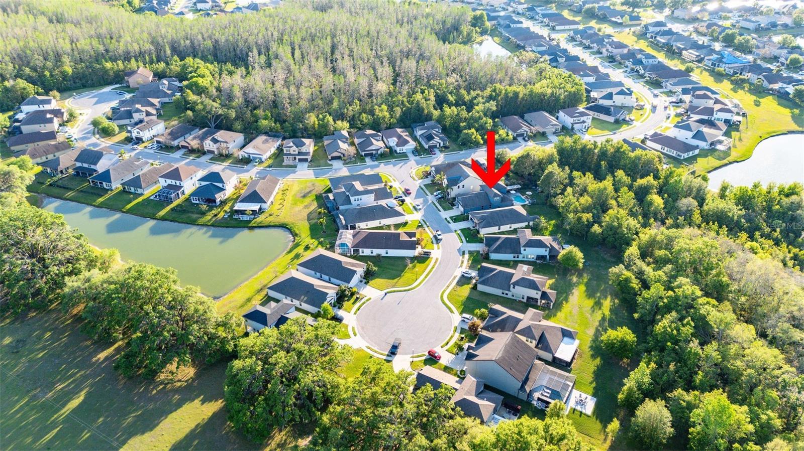 30647 WALKER CUP PL, WESLEY CHAPEL, FL, 33543