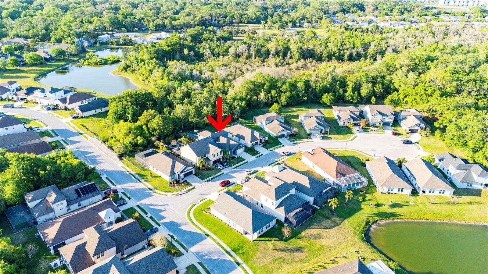 30647 WALKER CUP PL, WESLEY CHAPEL, FL, 33543