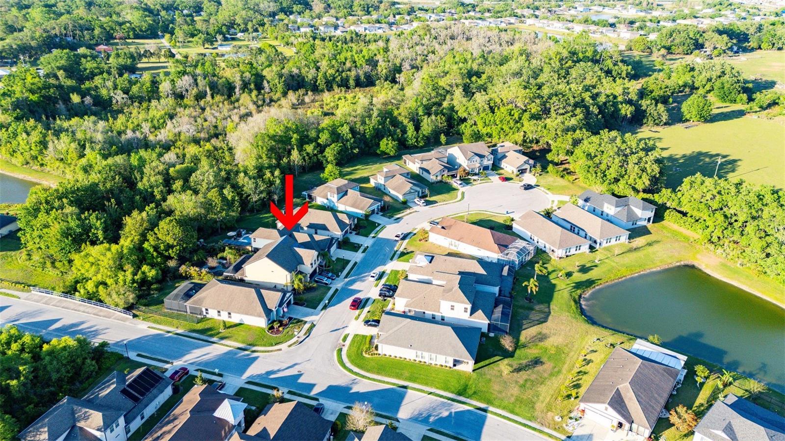 30647 WALKER CUP PL, WESLEY CHAPEL, FL, 33543