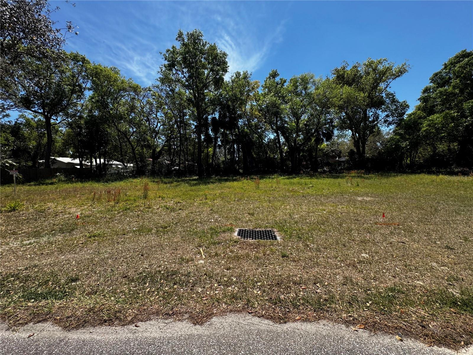 16200 LENORD ST, UMATILLA, FL, 32784
