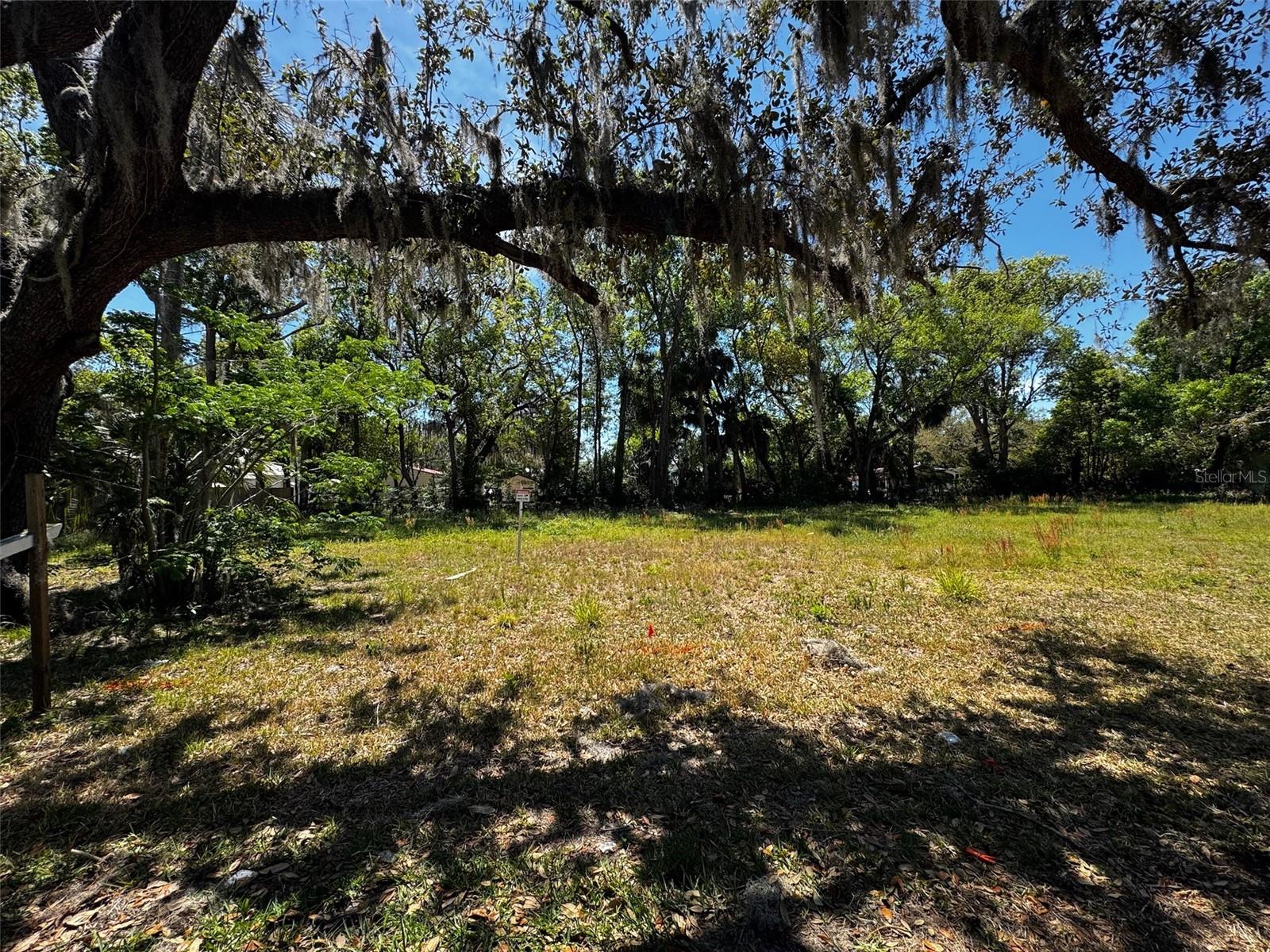 16200 LENORD ST, UMATILLA, FL, 32784