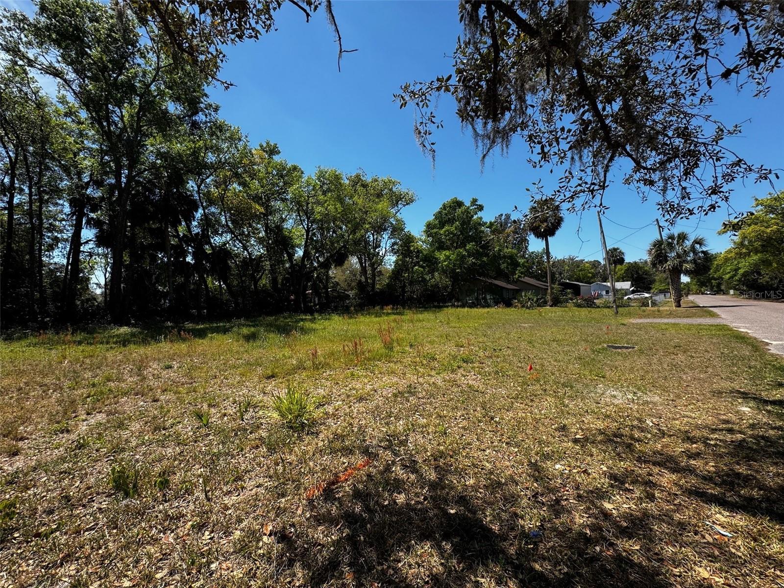 16200 LENORD ST, UMATILLA, FL, 32784