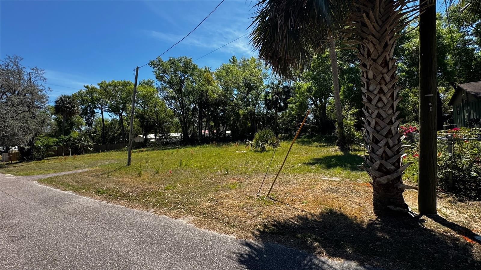 16200 LENORD ST, UMATILLA, FL, 32784