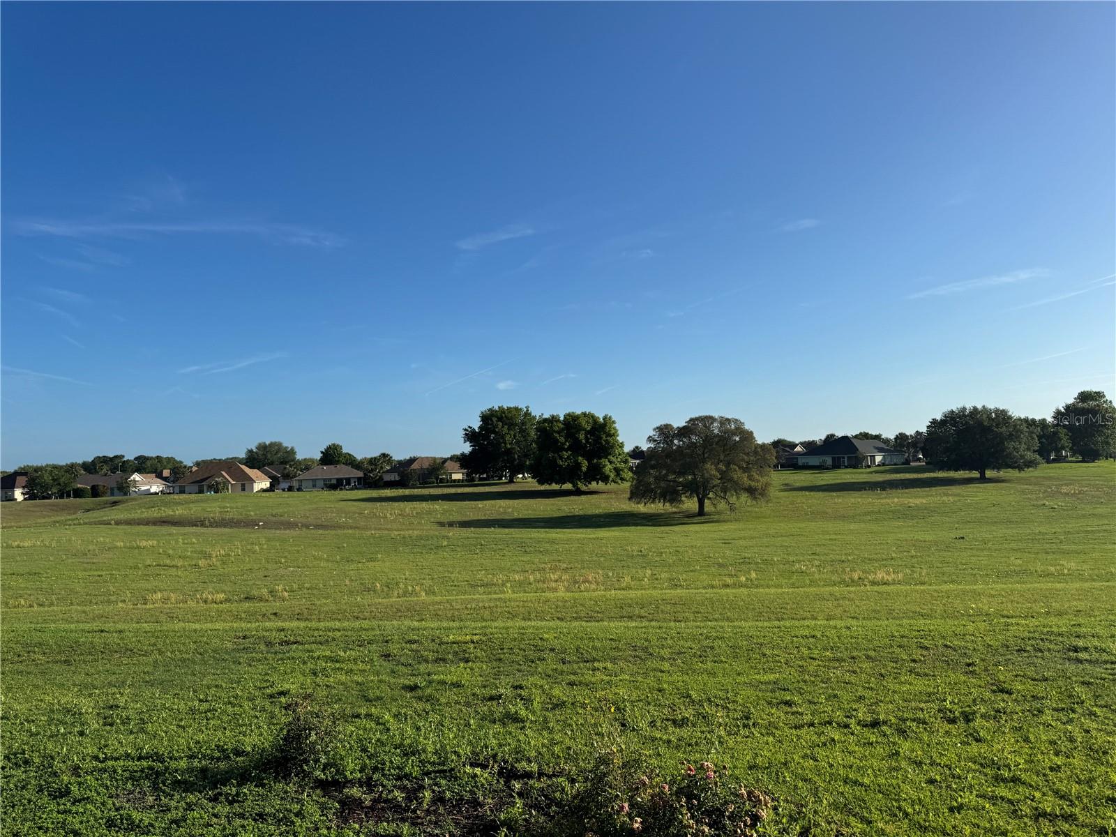8814 SW 83RD COURT RD, OCALA, FL, 34481