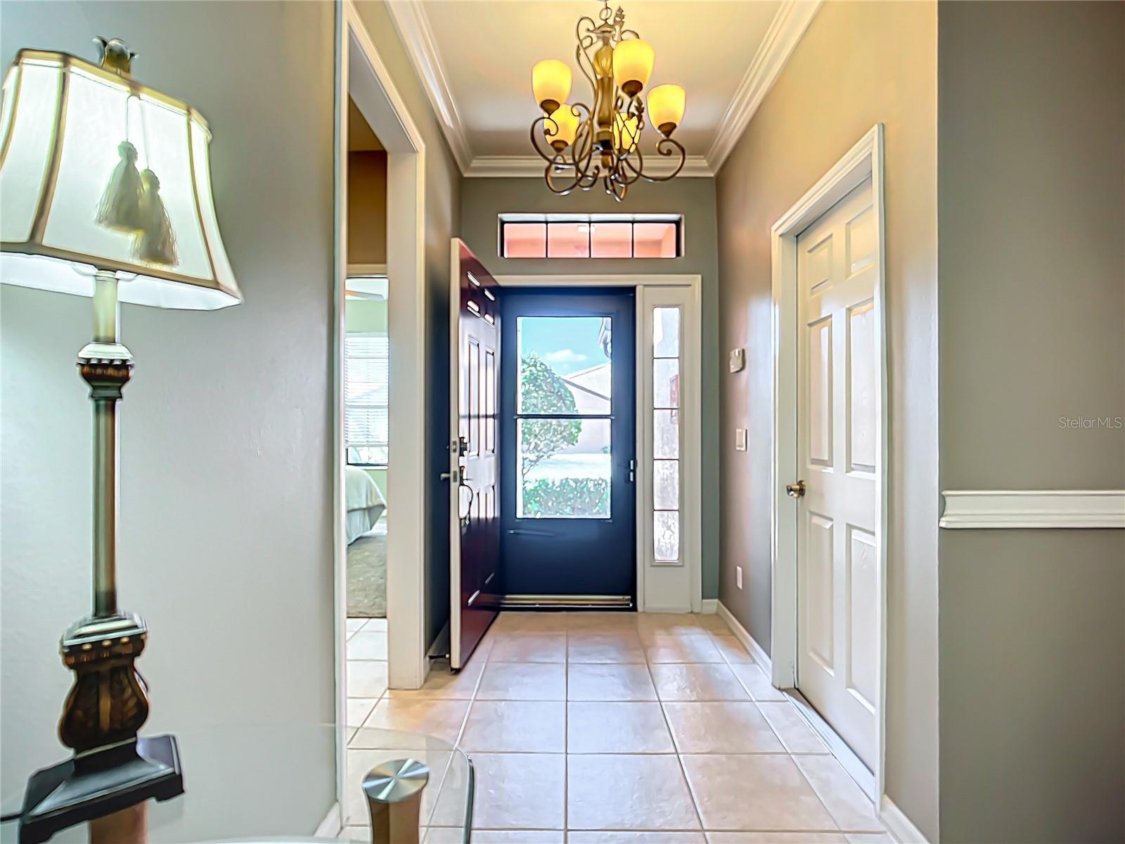 146 SHELL FALLS DR, APOLLO BEACH, FL, 33572