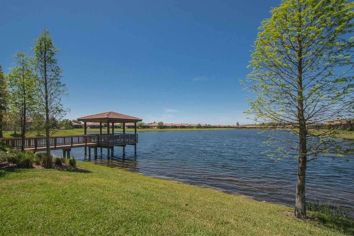 146 SHELL FALLS DR, APOLLO BEACH, FL, 33572