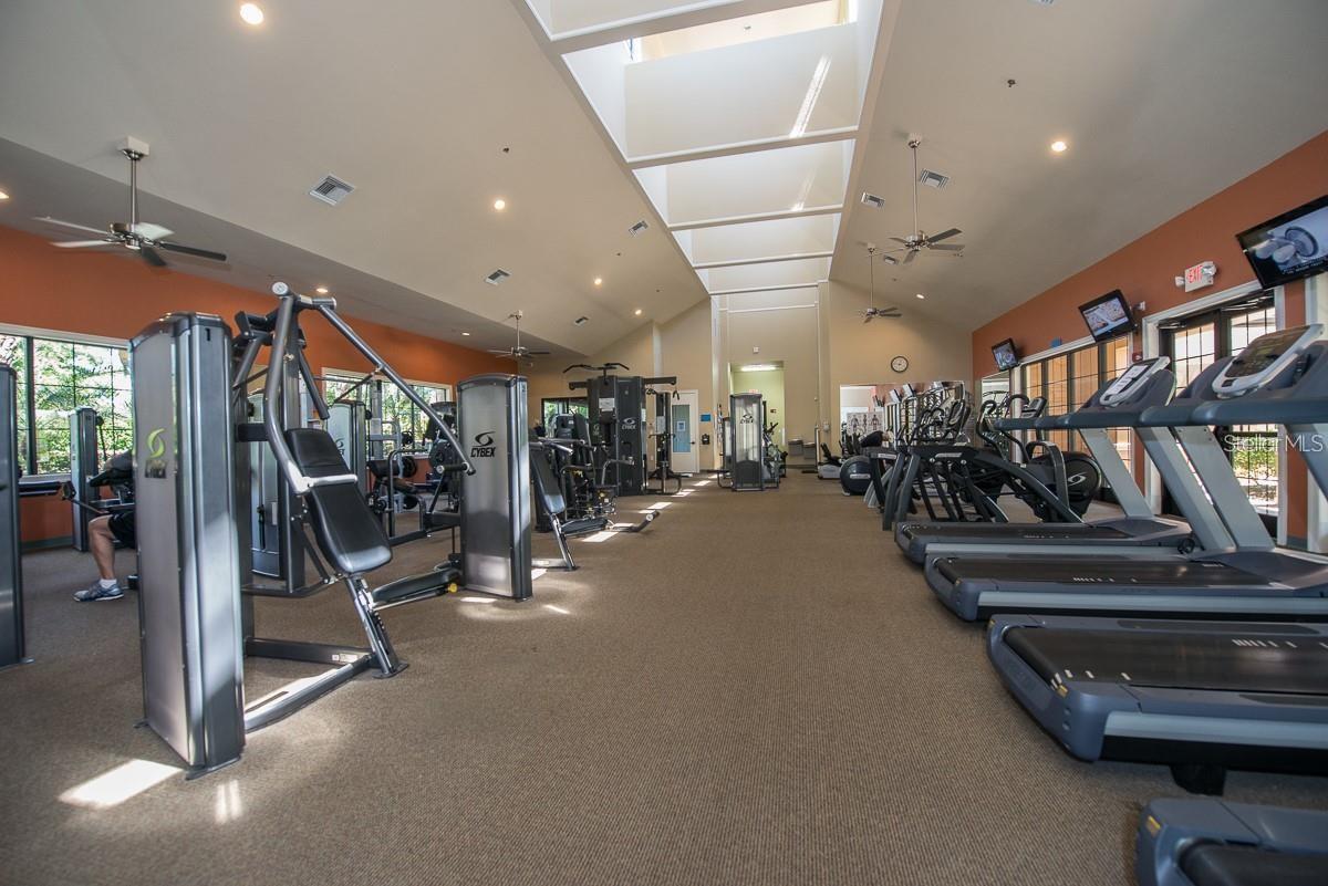 146 SHELL FALLS DR, APOLLO BEACH, FL, 33572