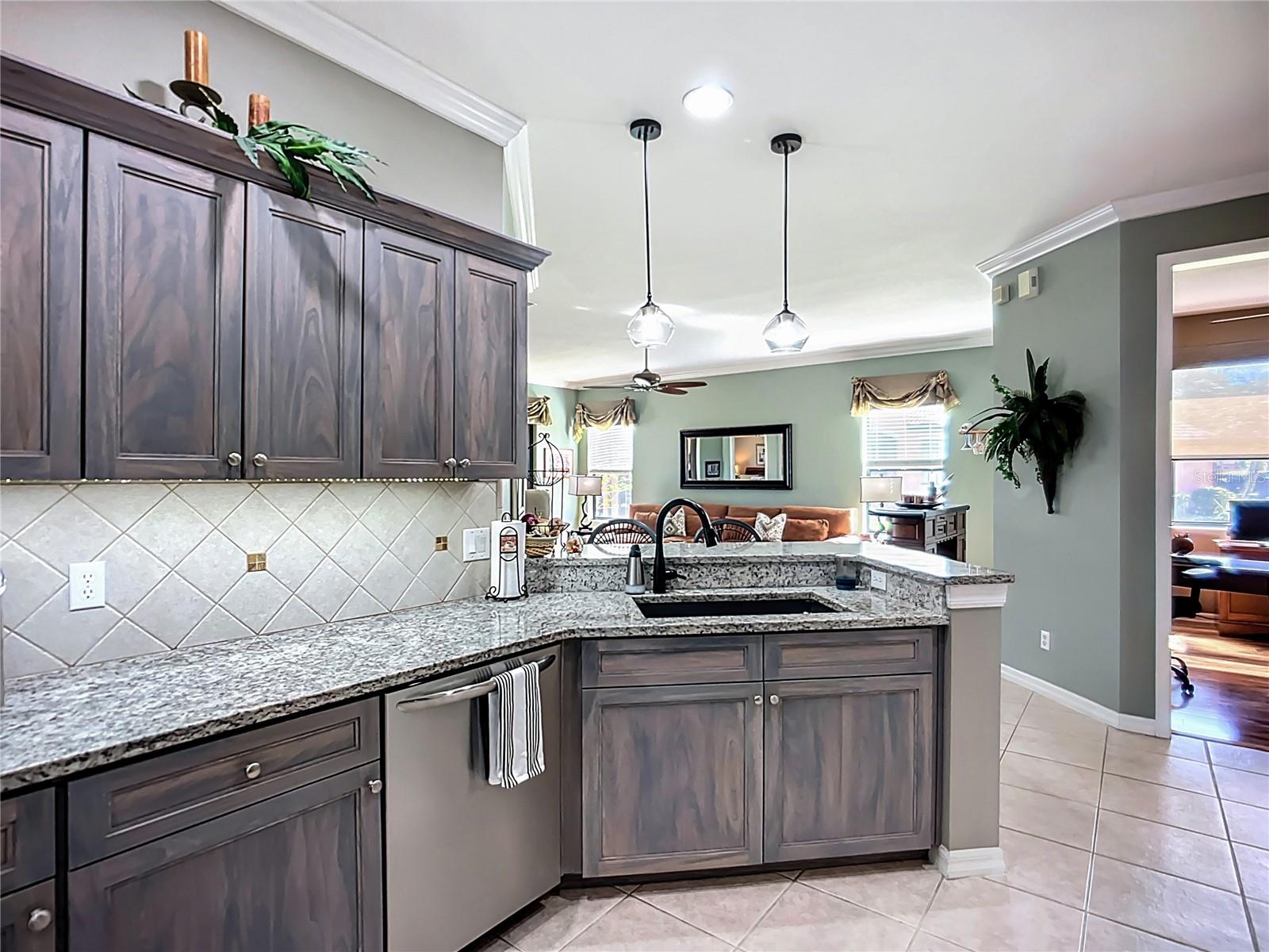 146 SHELL FALLS DR, APOLLO BEACH, FL, 33572