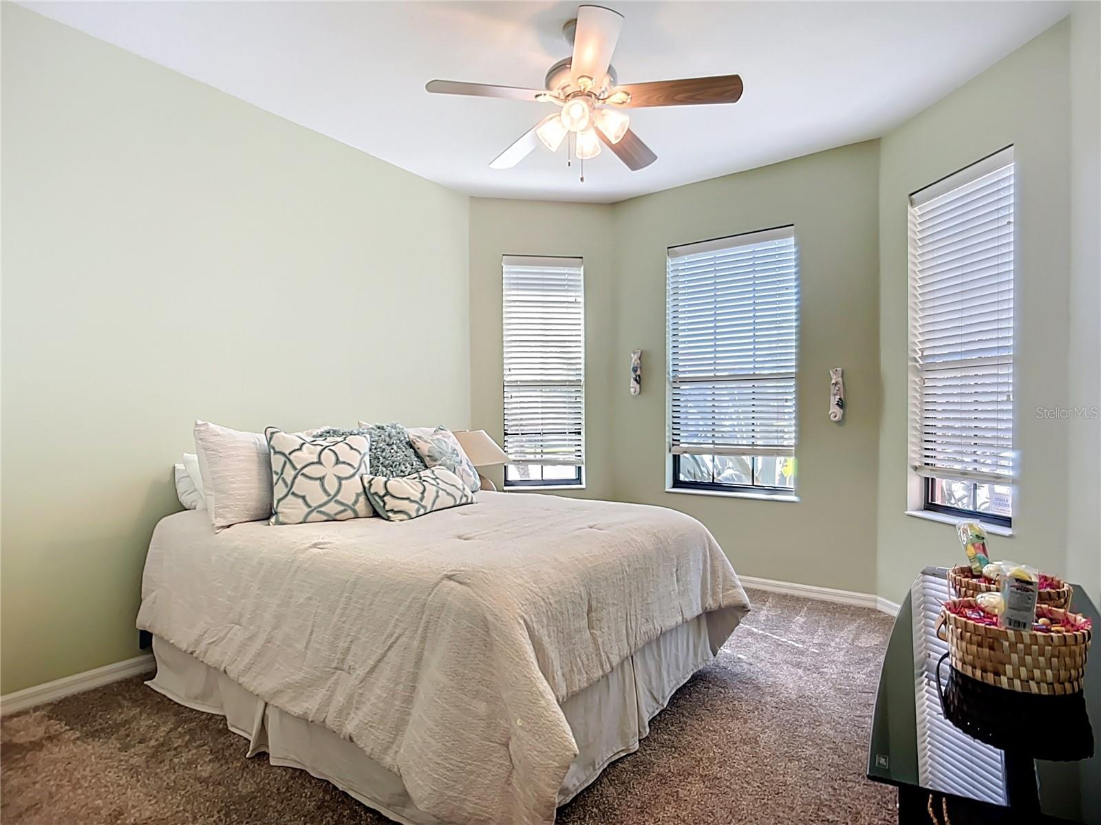 146 SHELL FALLS DR, APOLLO BEACH, FL, 33572