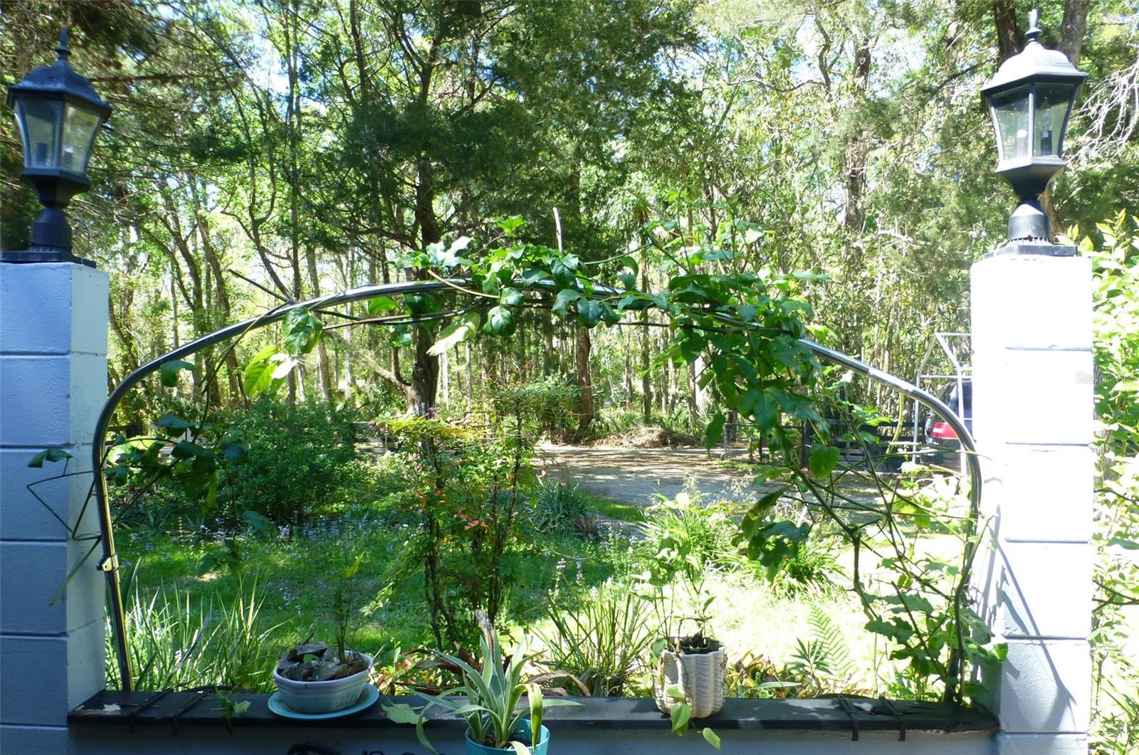 8896 W WHITE DOGWOOD DR, HOMOSASSA, FL, 34448