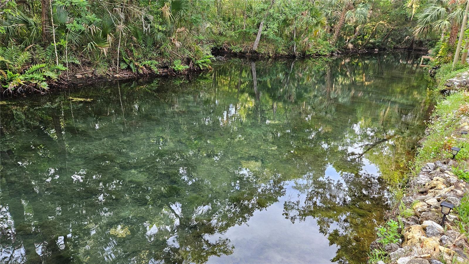 8896 W WHITE DOGWOOD DR, HOMOSASSA, FL, 34448