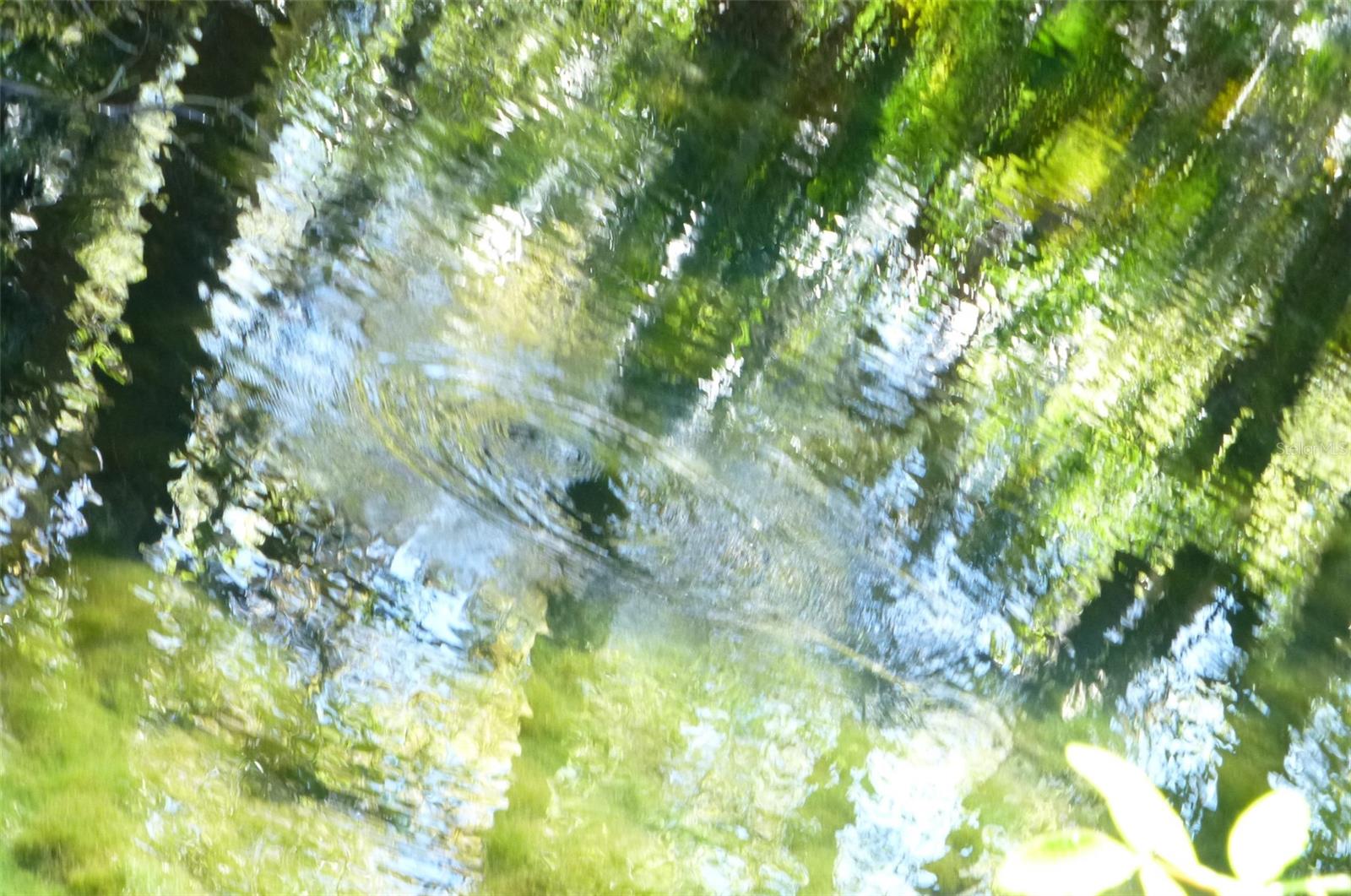 8896 W WHITE DOGWOOD DR, HOMOSASSA, FL, 34448