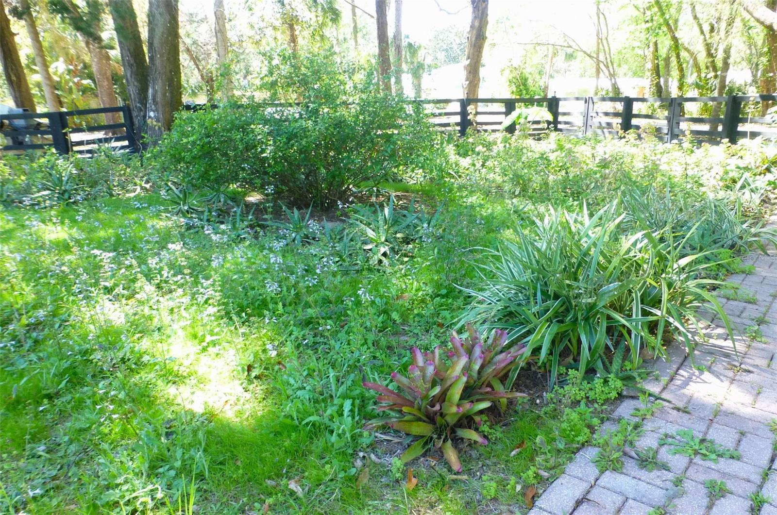 8896 W WHITE DOGWOOD DR, HOMOSASSA, FL, 34448