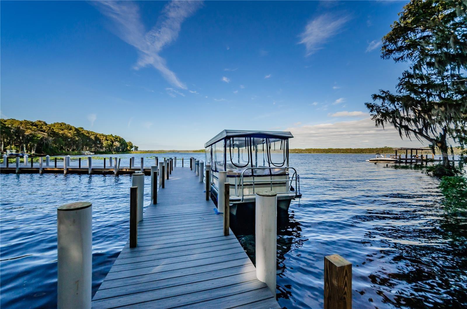 2814 LOMOND DR, PALM HARBOR, FL, 34684