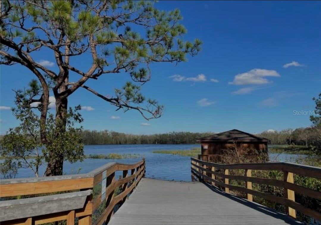 3349 SAGEBRUSH ST, HARMONY, FL, 34773