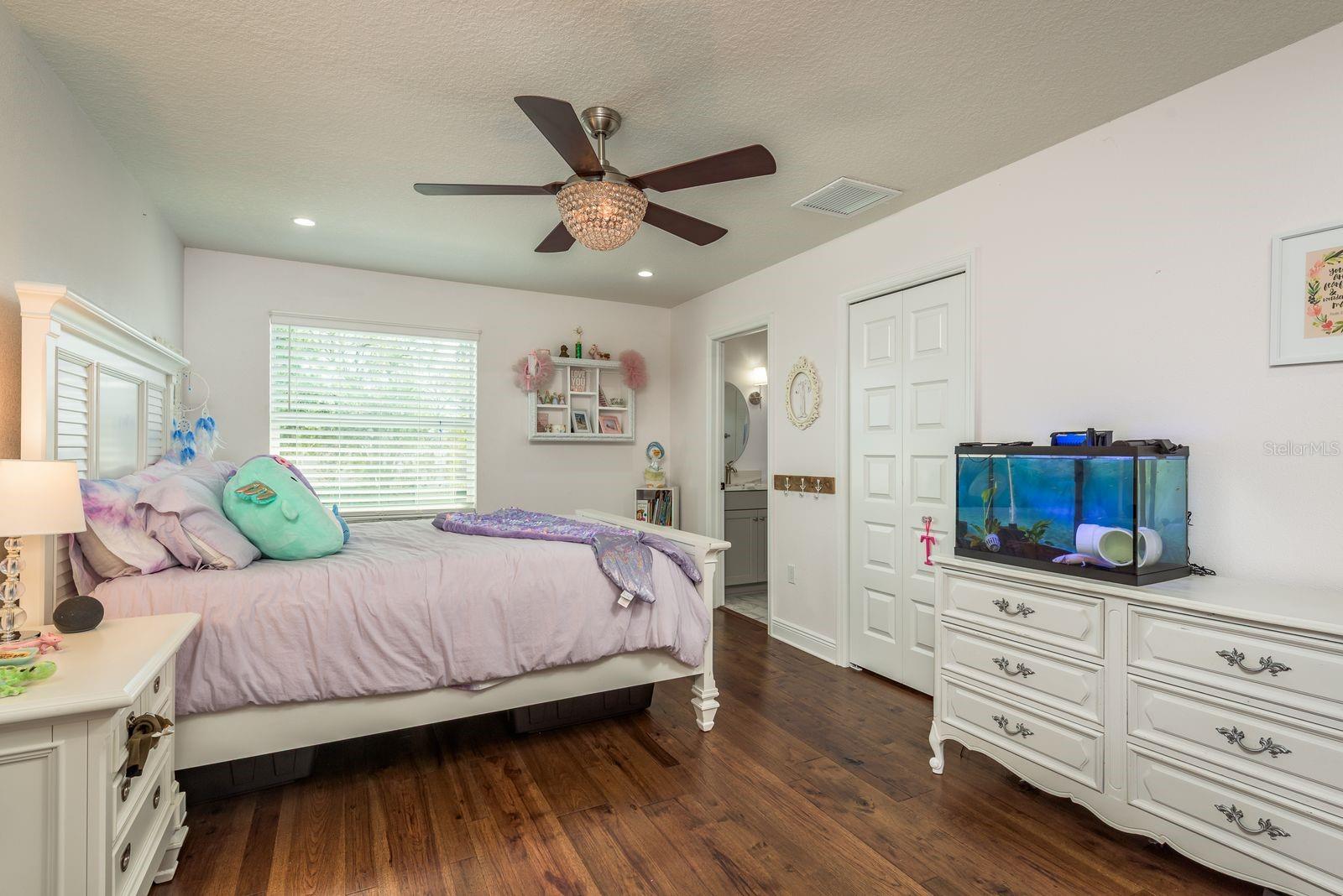 182 E CANAL DR, PALM HARBOR, FL, 34684