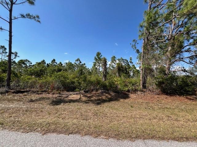 12108 BENHAM AVE, PORT CHARLOTTE, FL, 33981