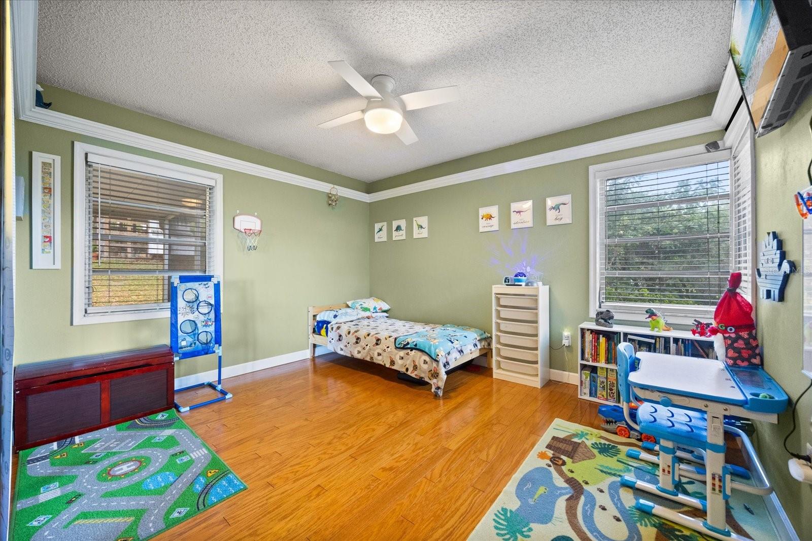 7115 LAKE OLA DR, MOUNT DORA, FL, 32757