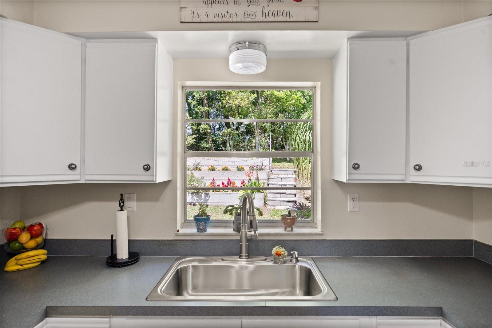 7115 LAKE OLA DR, MOUNT DORA, FL, 32757