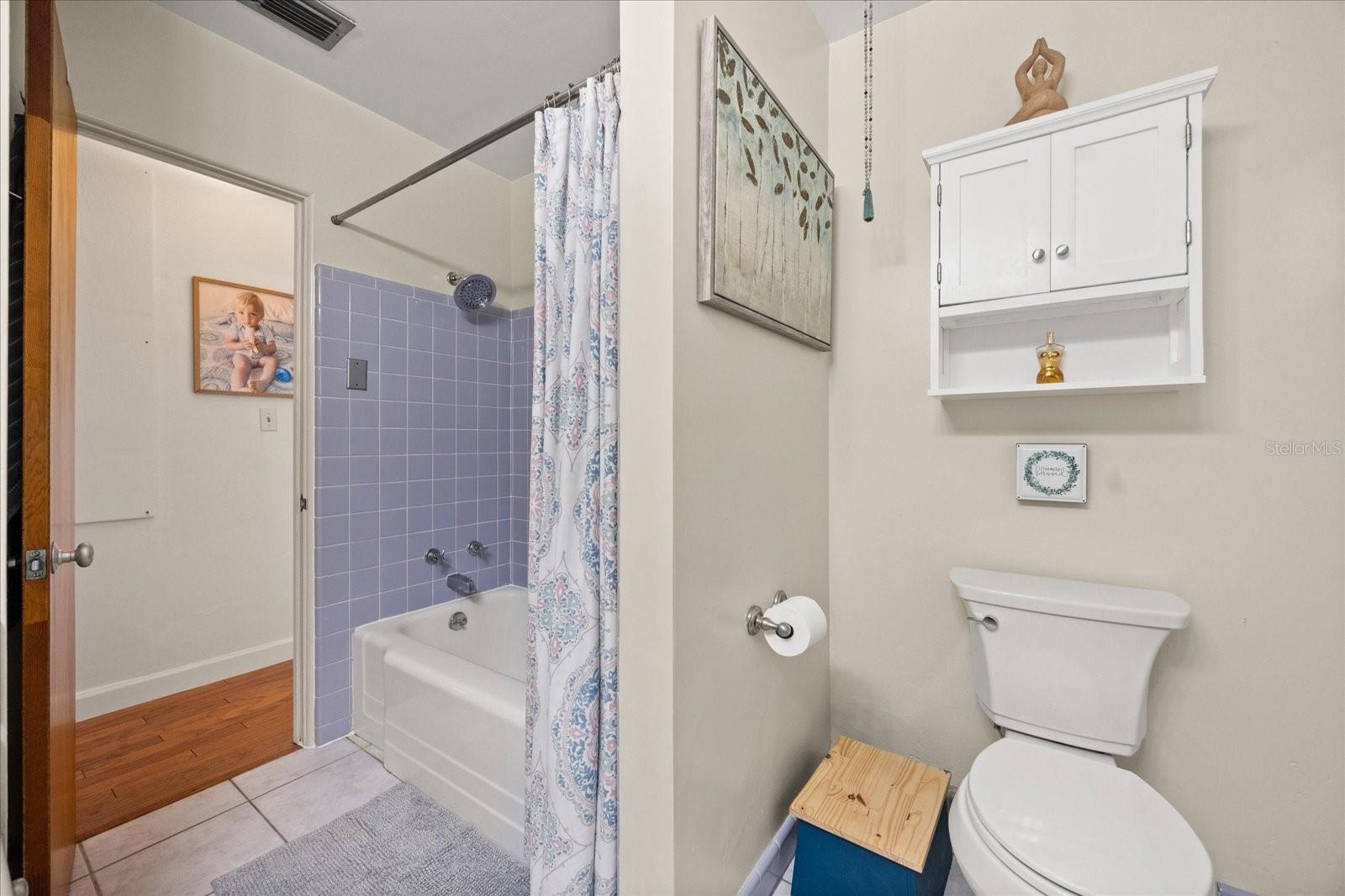 7115 LAKE OLA DR, MOUNT DORA, FL, 32757