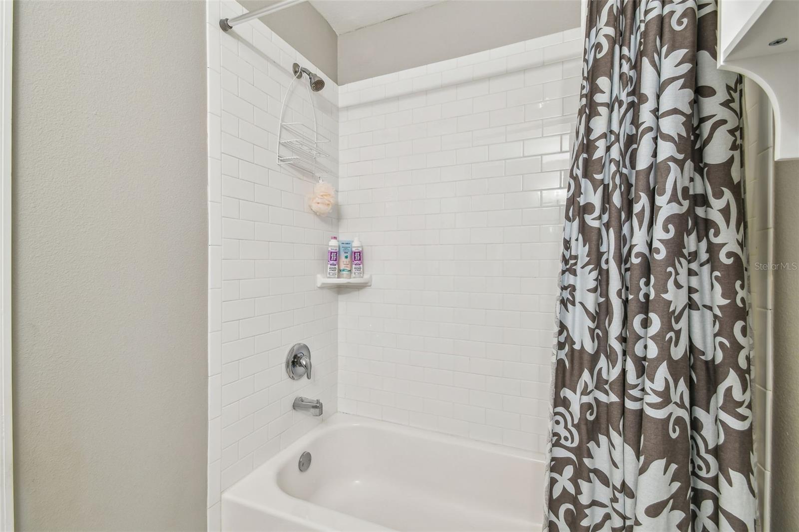 2815 W ESTRELLA ST, TAMPA, FL, 33629