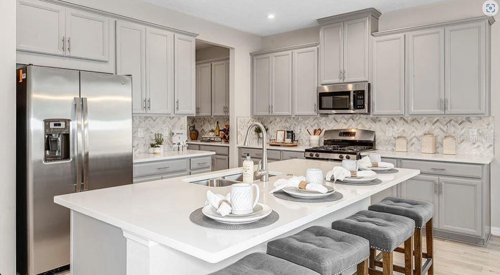 1880 LONGLINER LOOP, WESLEY CHAPEL, FL, 33543