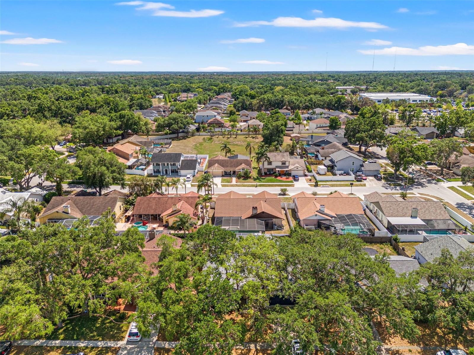 2554 BRIMHOLLOW DR, VALRICO, FL, 33596