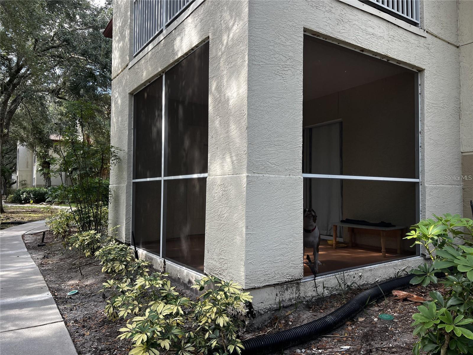 829 CAMARGO WAY #104, ALTAMONTE SPRINGS, FL, 32714