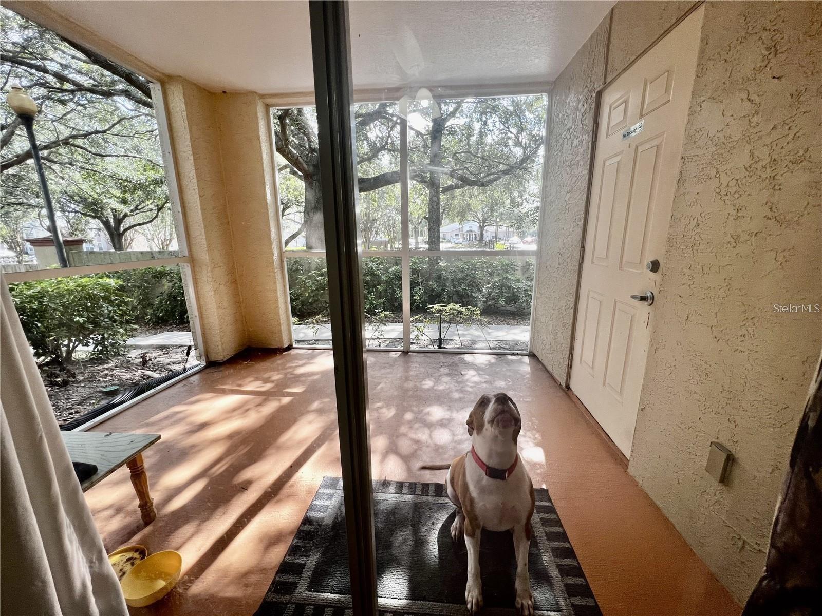 829 CAMARGO WAY #104, ALTAMONTE SPRINGS, FL, 32714