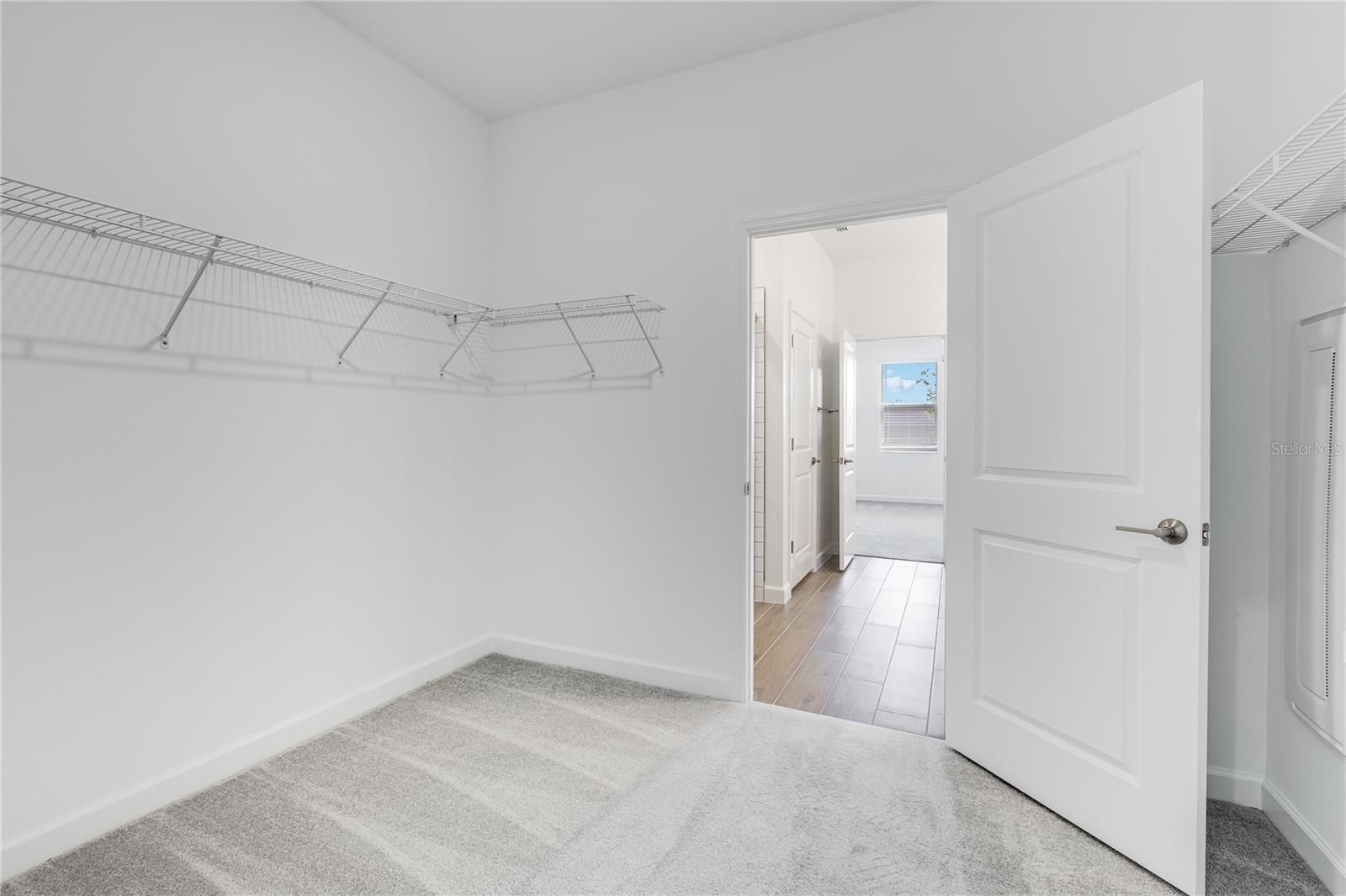 31764 GRIFFIN SANDS LN, SAN ANTONIO, FL, 33576