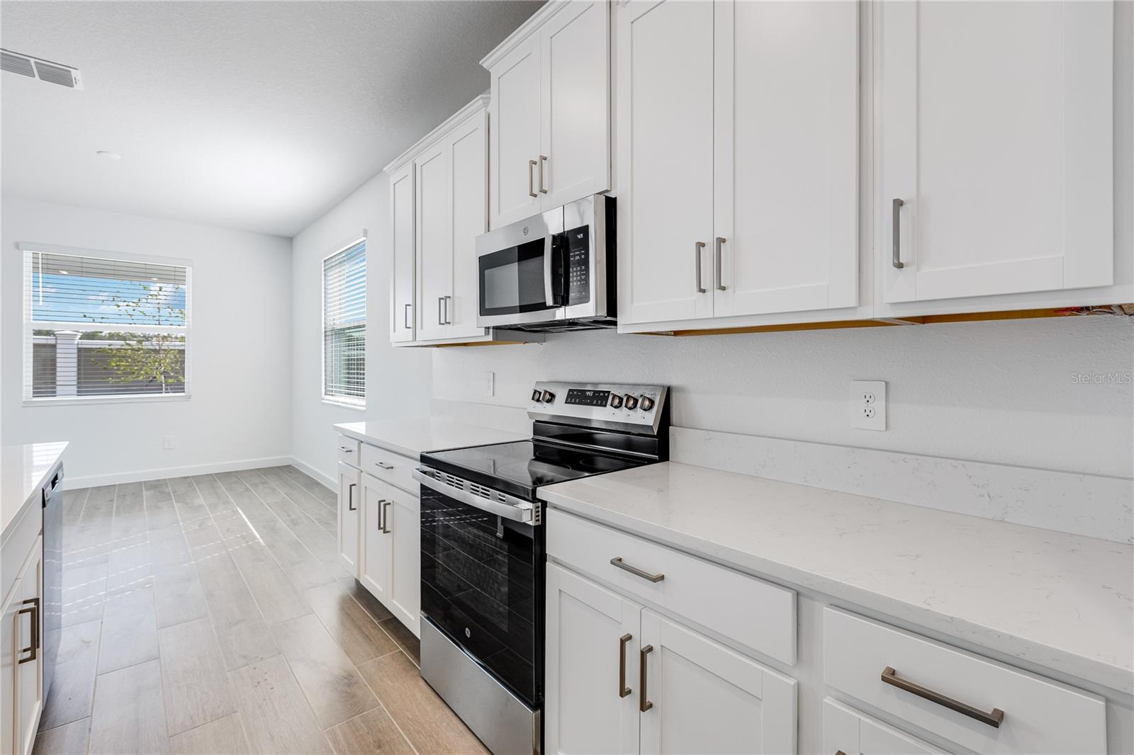 31764 GRIFFIN SANDS LN, SAN ANTONIO, FL, 33576