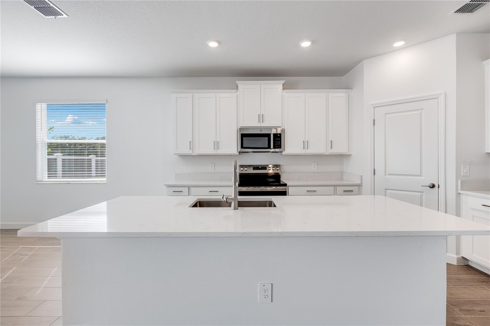 31764 GRIFFIN SANDS LN, SAN ANTONIO, FL, 33576