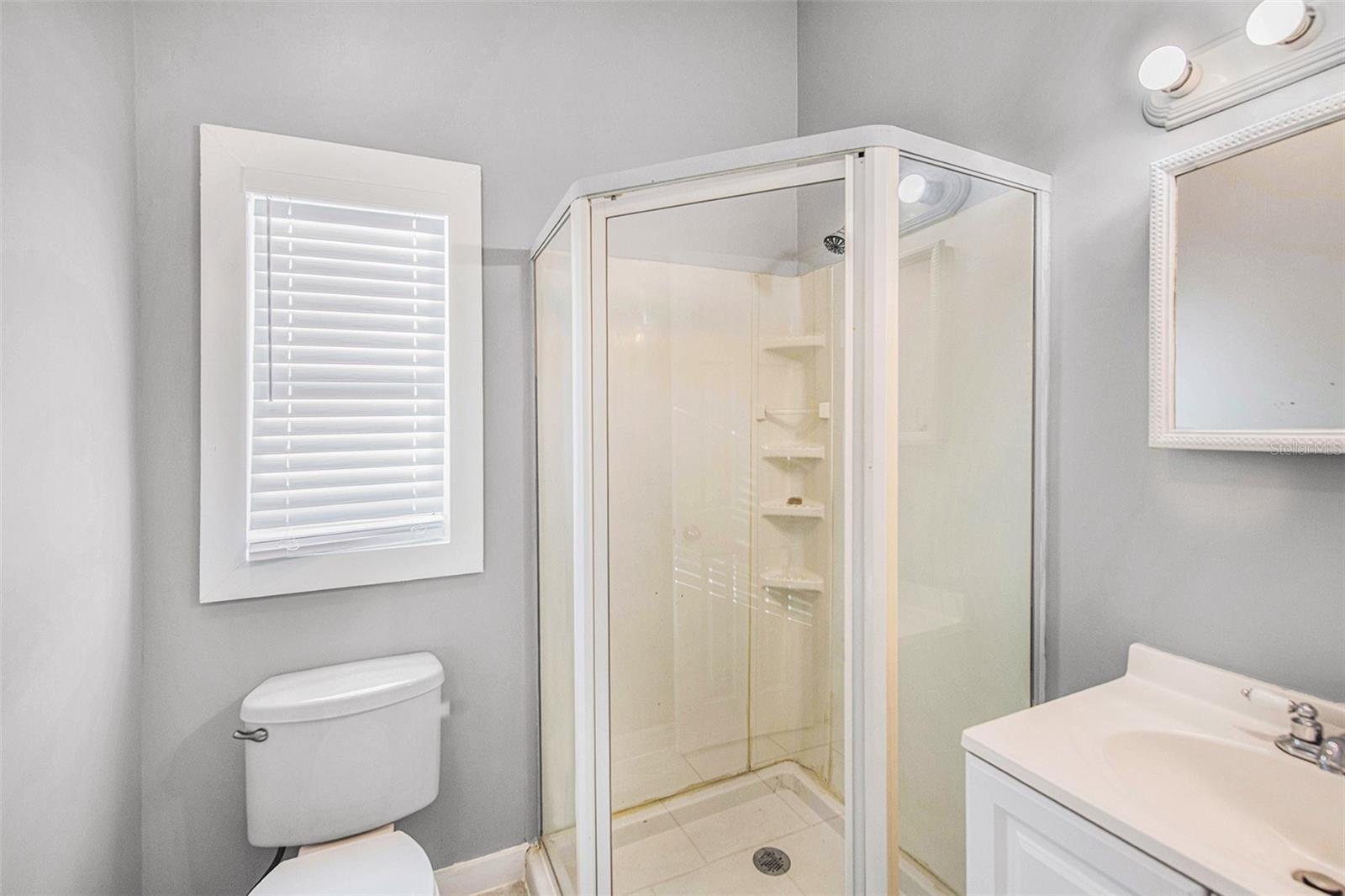 2317 W CHESTNUT ST, TAMPA, FL, 33607