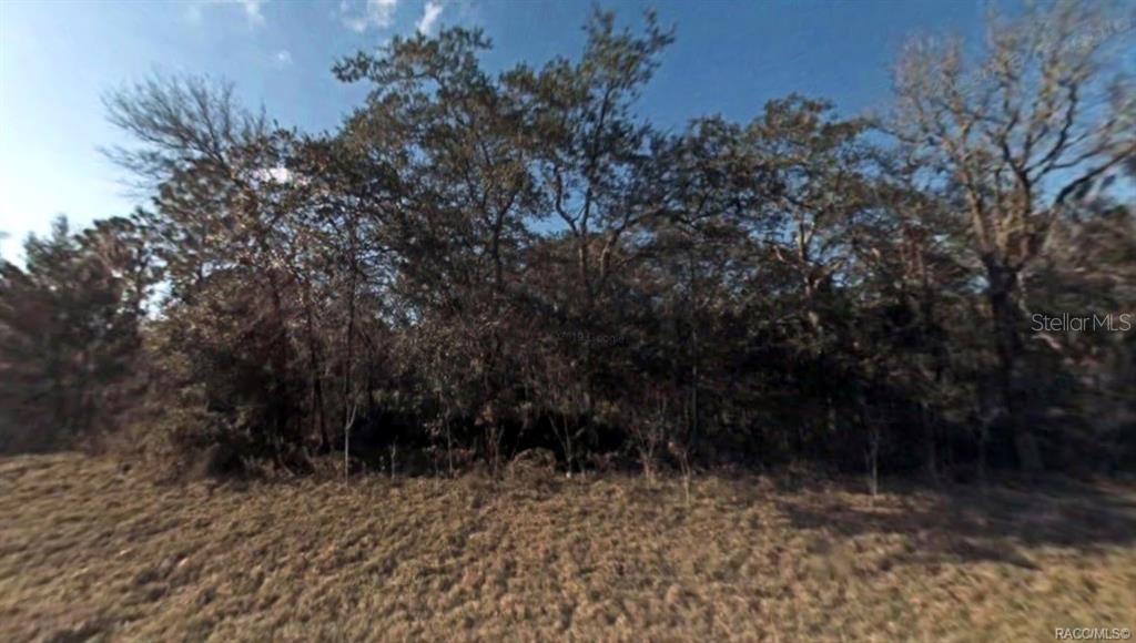 143 PL, OCALA, FL, 34473