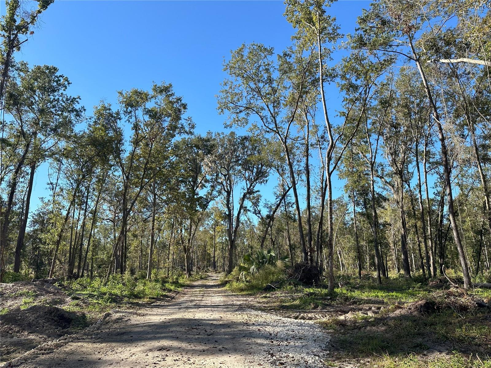485ac NW 193RD ST, REDDICK, FL, 32686